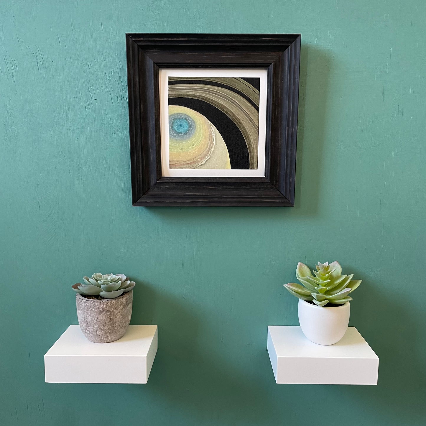 Zoomed out view of print in frame. Below the frame is two shelves with succulents