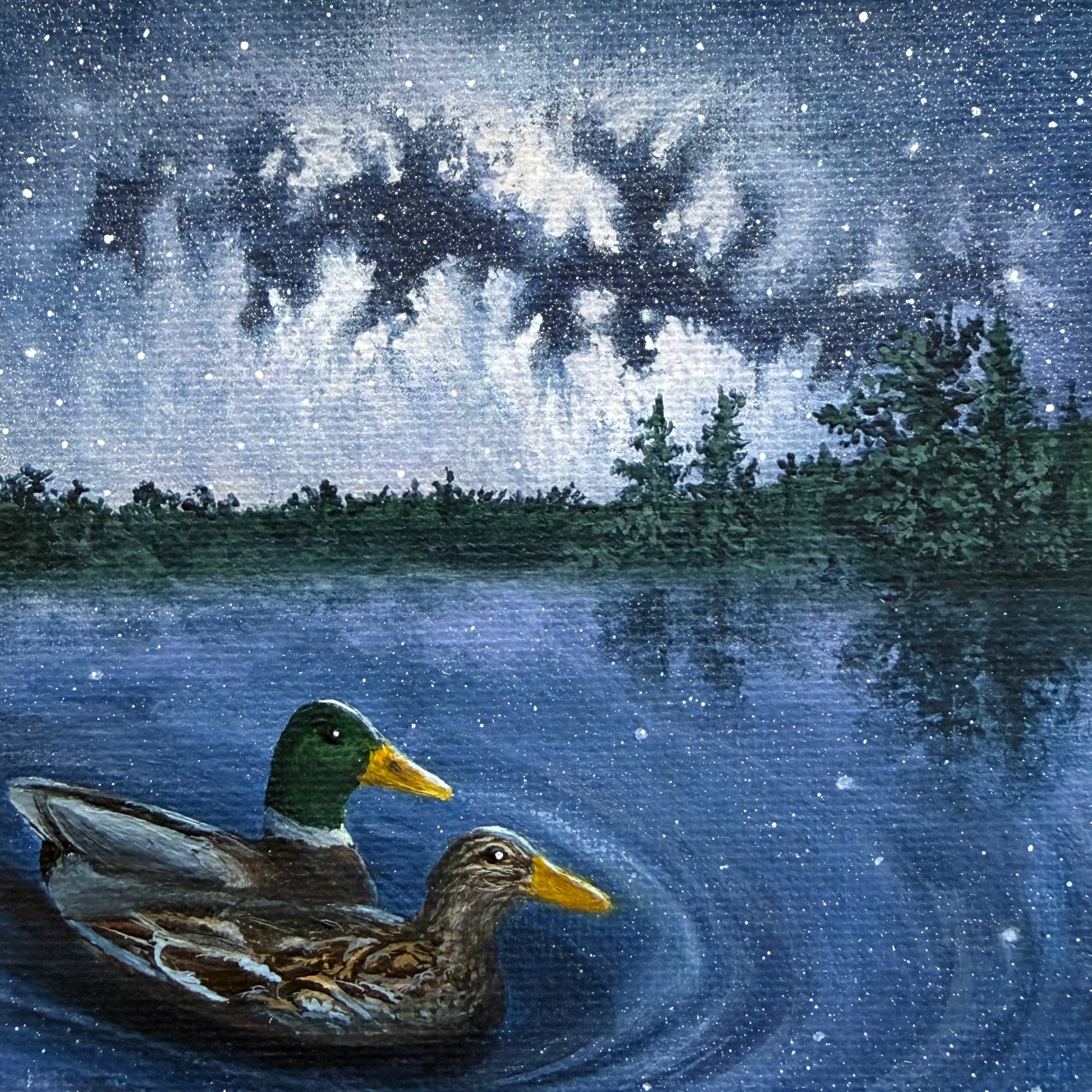 Close up of mini painting. Two ducks swimming on a lake under a starry night sky with trees in the background.