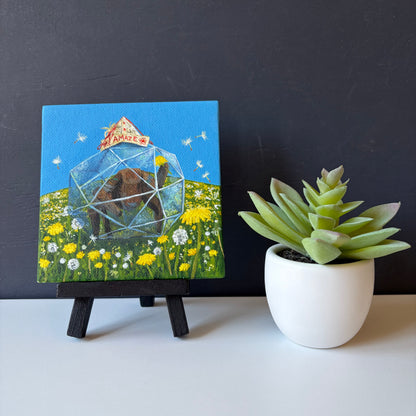 Dandelion Rocky