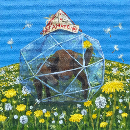 Dandelion Rocky