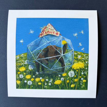 Dandelion Rocky