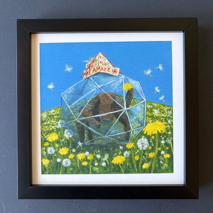 Dandelion Rocky