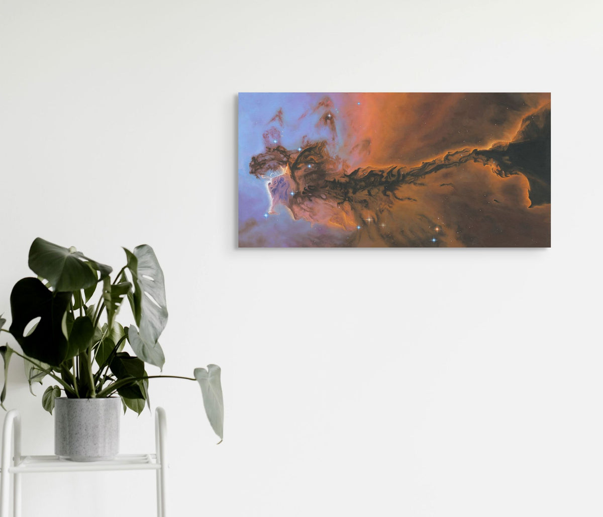 Colorful nebula painting on a white wall with a plant below
