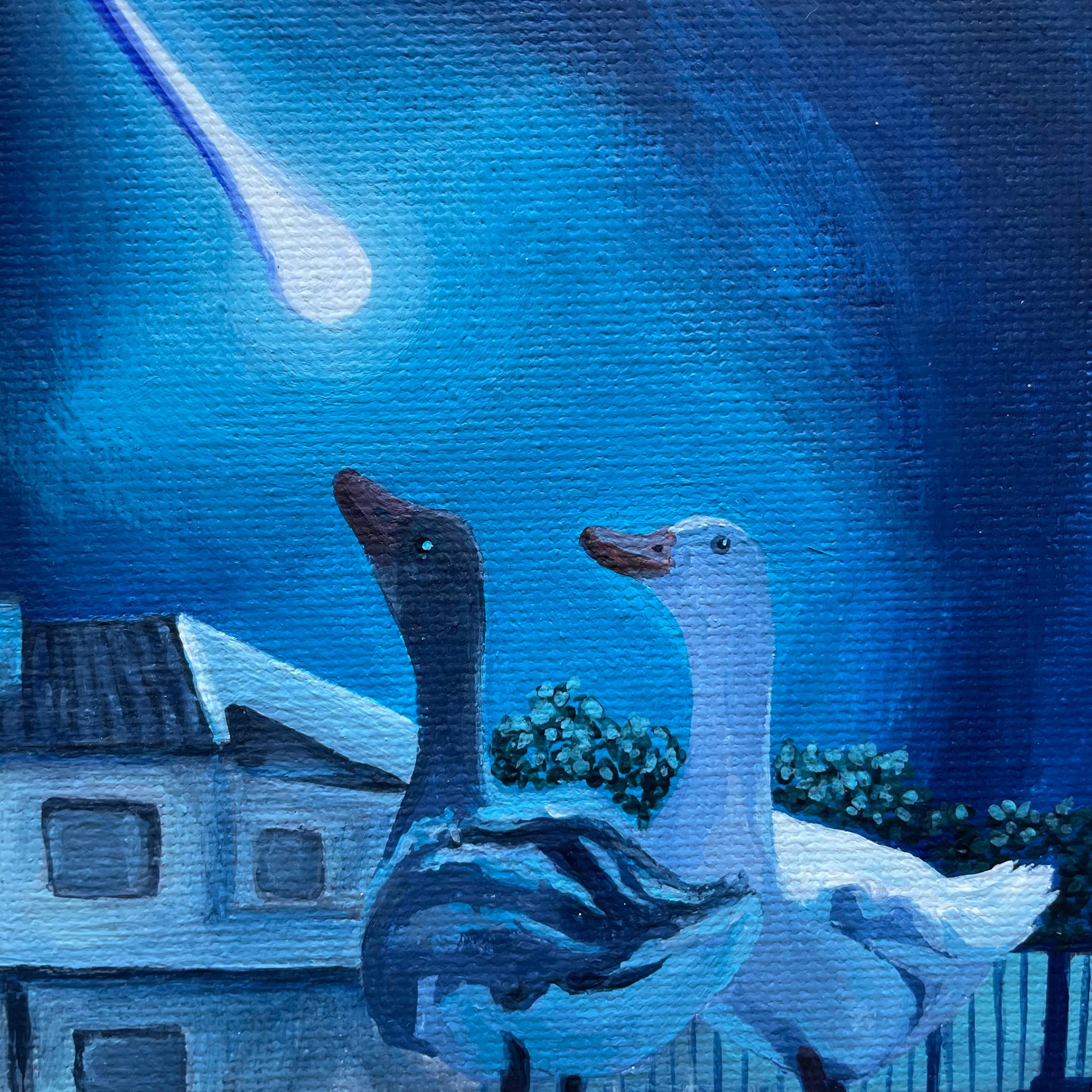 A dark goose and a white feathered goose looking up at a blue sky with a bright white meteor streaking by. 