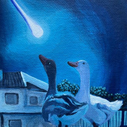 A dark goose and a white feathered goose looking up at a blue sky with a bright white meteor streaking by. 