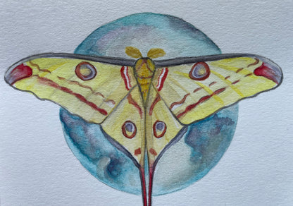 Yellow moth in front of a shiny blue moon