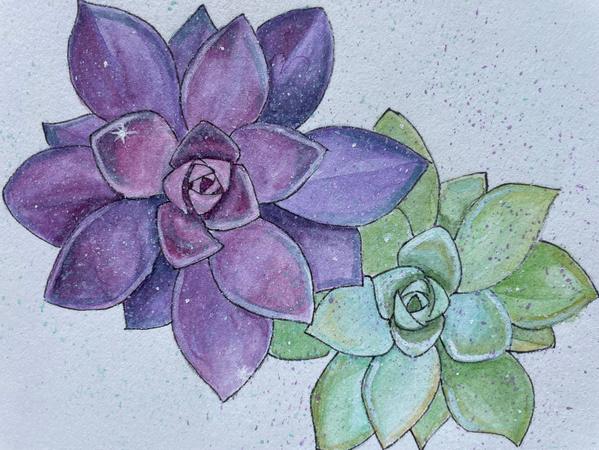 A purple and green succulent with purple, green, and white stars