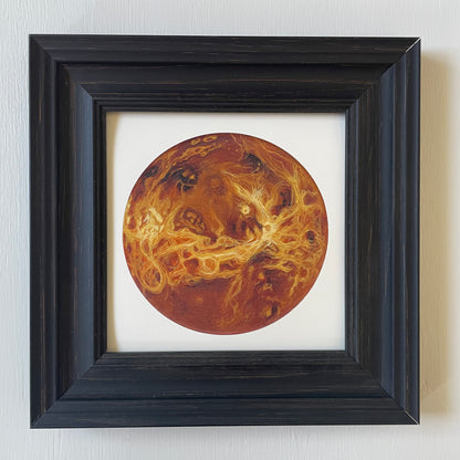 Print of Venus in black frame with white background